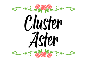 logo color aster