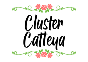 logo color cattleya