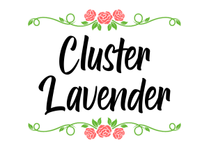 logo lavenderr